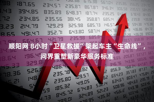 顺阳网 8小时“卫星救援”架起车主“生命线”，问界重塑新豪华服务标准